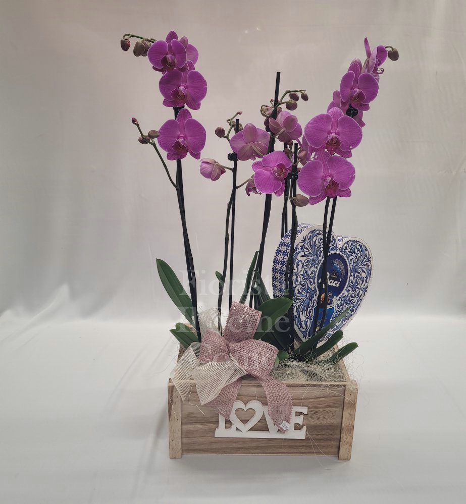 Foto Orchidea rosa con cioccolatini